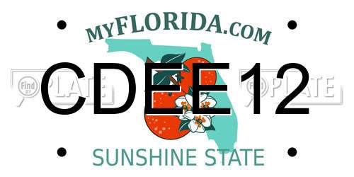 CDEE12 Florida License Plate