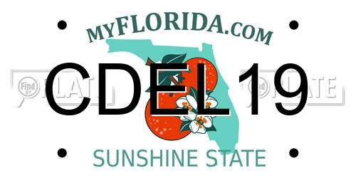 CDEL19 Florida License Plate