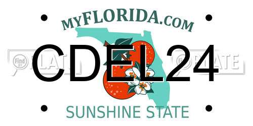 CDEL24 Florida License Plate