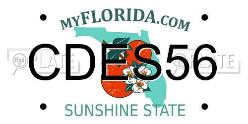CDES56 Florida License Plate