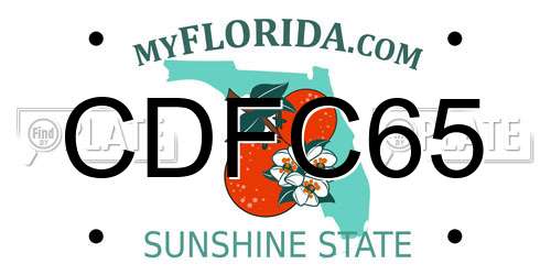 CDFC65 Florida License Plate