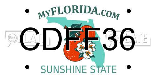 CDFF36 Florida License Plate