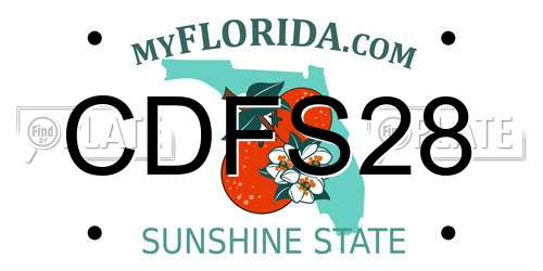 CDFS28 Florida License Plate