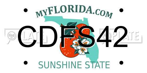 CDFS42 Florida License Plate