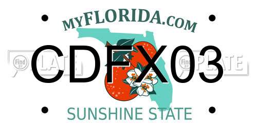 CDFX03 Florida License Plate