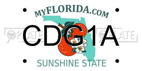 CDG1A Florida License Plate