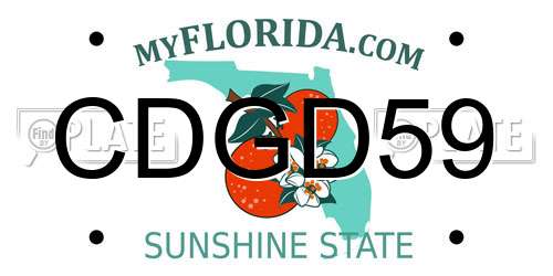 CDGD59 Florida License Plate