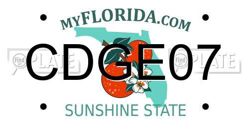CDGE07 Florida License Plate