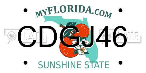 CDGJ46 Florida License Plate