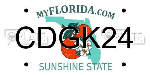 CDGK24 Florida License Plate