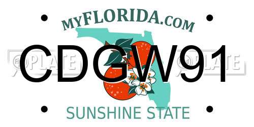 CDGW91 Florida License Plate