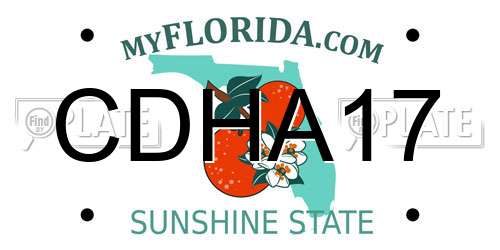 CDHA17 Florida License Plate