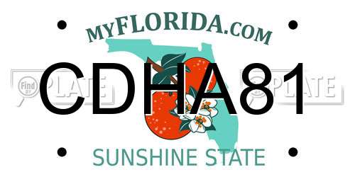 CDHA81 Florida License Plate
