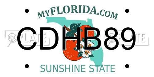 CDHB89 Florida License Plate