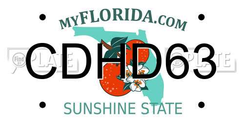 CDHD63 Florida License Plate