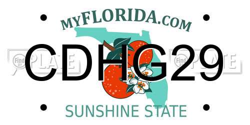 CDHG29 Florida License Plate