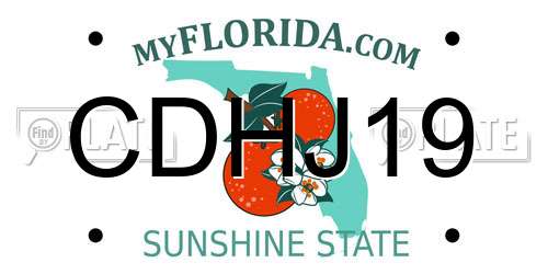 CDHJ19 Florida License Plate