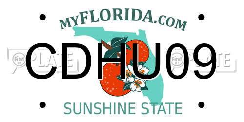 CDHU09 Florida License Plate
