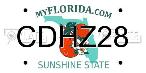 CDHZ28 Florida License Plate