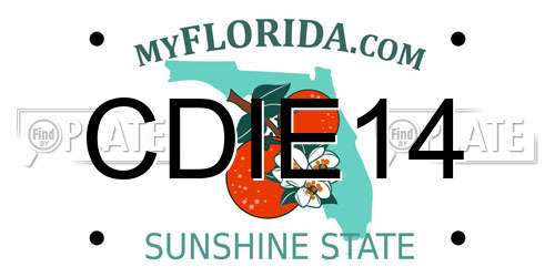 CDIE14 Florida License Plate