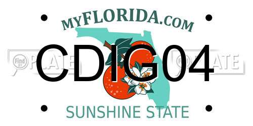 CDIG04 Florida License Plate