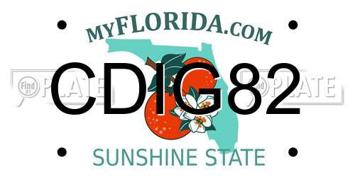 CDIG82 Florida License Plate