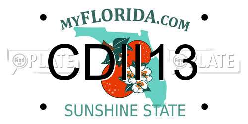 CDII13 Florida License Plate