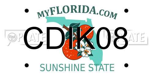 CDIK08 Florida License Plate