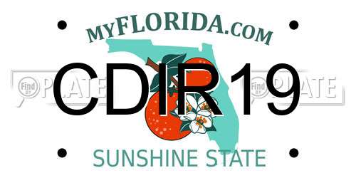 CDIR19 Florida License Plate