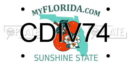 CDIV74 Florida License Plate