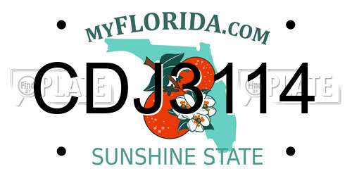 CDJ3114 Florida License Plate