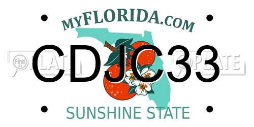 CDJC33 Florida License Plate