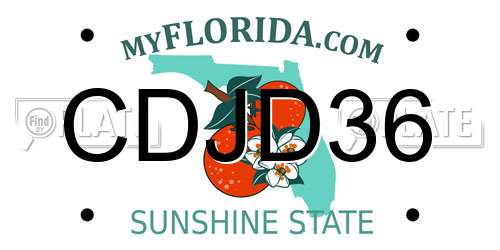 CDJD36 Florida License Plate