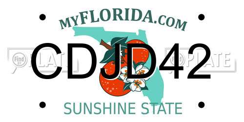 CDJD42 Florida License Plate