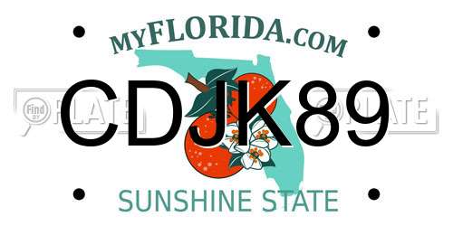 CDJK89 Florida License Plate