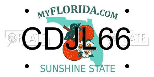 CDJL66 Florida License Plate