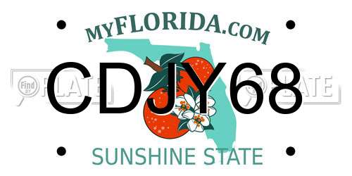 CDJY68 Florida License Plate