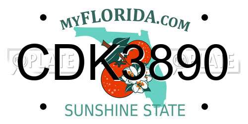 CDK3890 Florida License Plate