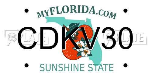 CDKV30 Florida License Plate