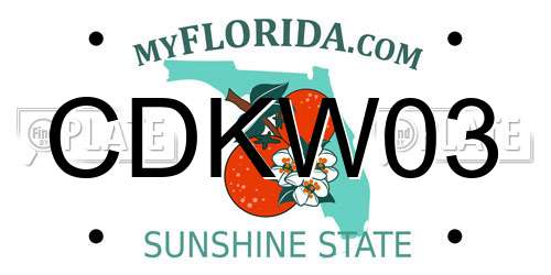 CDKW03 Florida License Plate