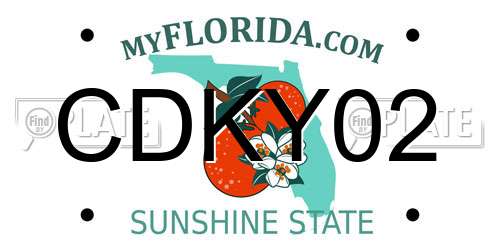 CDKY02 Florida License Plate