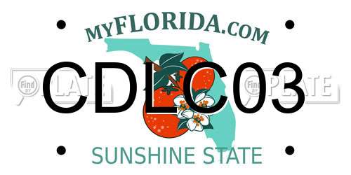 CDLC03 Florida License Plate