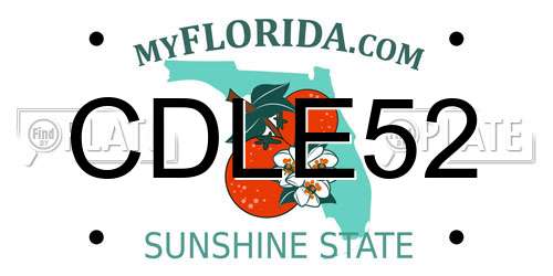 CDLE52 Florida License Plate