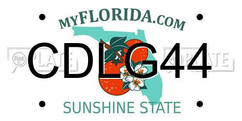 CDLG44 Florida License Plate