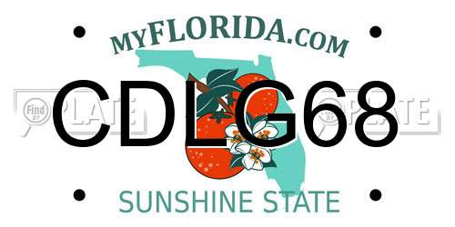 CDLG68 Florida License Plate