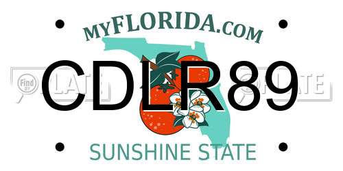CDLR89 Florida License Plate