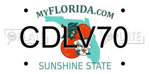 CDLV70 Florida License Plate