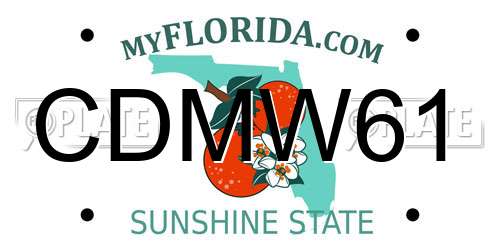 CDMW61 Florida License Plate