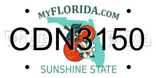 CDN3150 Florida License Plate