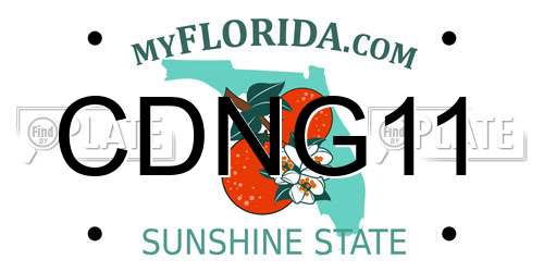 CDNG11 Florida License Plate